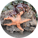 Katy Wilson-Rice profile picture